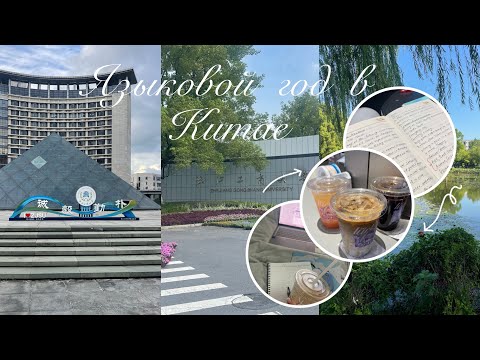 Видео: языковой год в Китае//11 класс//регистрация в университете//уборка комнаты//часть 2