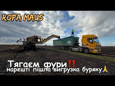 Видео: Відвантаження буряку‼️ порпаємось в багнюці😬 Буксирока фур💪