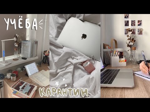 Видео: Первые Дни На Карантине | a day in my life at home