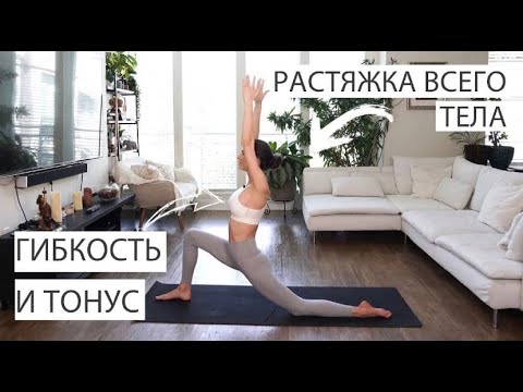 Видео: Растяжка для начинающих на все тело | Эффективные упражнения на гибкость