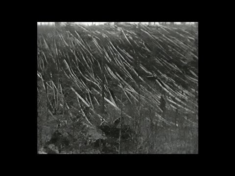 Видео: Тунгусский метеорит (1966)
