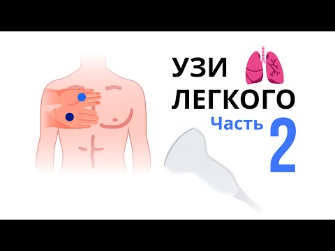 Видео: УЗИ легкого. С чего начать? Подготовка аппарата и пациента: позиции, точки и настройки УЗИ