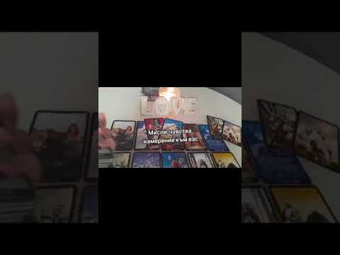 Видео: Мисли, чувства, намерения към вас 😍 #таро