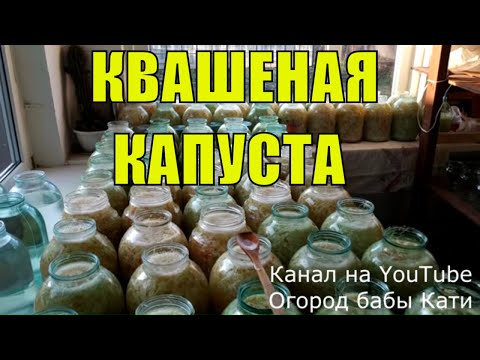 Видео: Квашеная капуста рецепт! Капуста квашеная! Как квасить капусту!