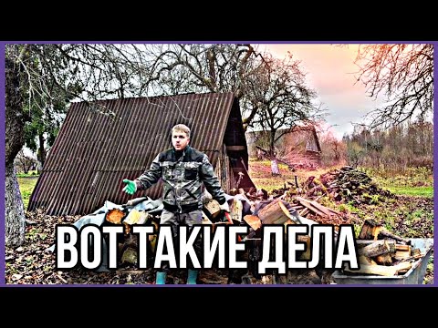 Видео: Новые соседи. Пора переименовать хутор #хочувдеревню #хутор