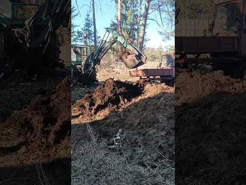 Видео: 3 апреля 2025 г.