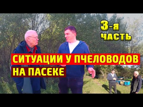 Видео: Как подготовить промышленную пасеку к зиме? Как подготовить пчел к зиме? #3