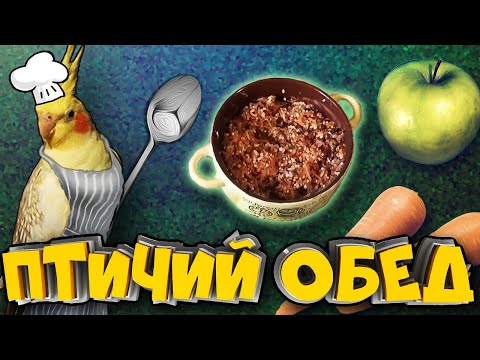 Видео: Как приготовить кашу для попугая