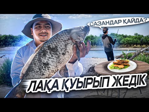 Видео: САЗАНДАР ҚАЙДА КЕТКЕН??? Лақа балығын қуырып жедік😋. АРАЛДА БАЛЫҚ АУЛАУ.