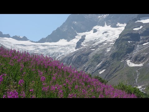 Видео: Домбай, водопад Птыш.