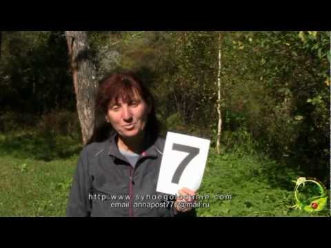 Видео: Анна Якуба, мое 7-дневное сухое голодание (сентябрь 2012г).