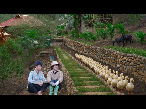 Видео: Строительство каменной фермы вдали от цивилизацииСчастливая пара, живущая и развивающаяся