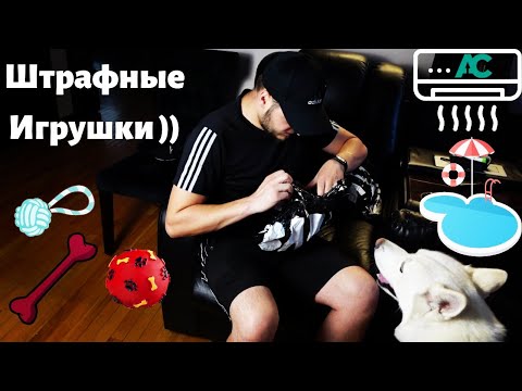 Видео: Бокс для Собачек - Ещё игрушки для Тортика | Переезд во Флориду | Открываем Купальный Сезон))