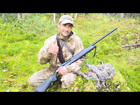 Видео: ОХОТА НА БОРОВУЮ ДИЧЬ / С МАНКОМ ОТ АРТУРА ЛАРХАНИДИ ИЩУ РЯБЧИКА ПО ТАЙГЕ / ОСЕННЯЯ ОХОТА НА ПТИЦУ.
