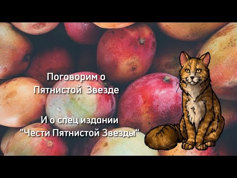 Видео: Поговорим о Пятнистой Звезде || Коты Воители