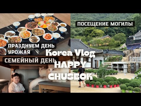 Видео: KOREA VLOG/ праздник  Чусок/ семейный день