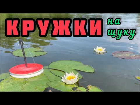 Видео: Рыбалка на кружки. Ловля щуки на кружки летом. Кружки Азор фишинг отзыв и испытания на рыбалке