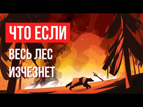 Видео: Что, если весь лес ИСЧЕЗНЕТ