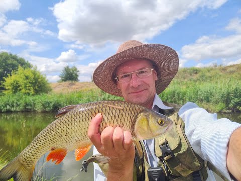 Видео: Степь и Солнце в плавниках... :) Часть 1