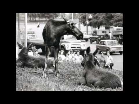 Видео: Старое Гольяново