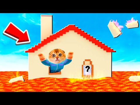 Видео: КОТ ПЕРСИК ВЫЖИВАЕТ В ПОЛ ЭТО ЛАВА РОБЛОКС! The Floor Is LAVA