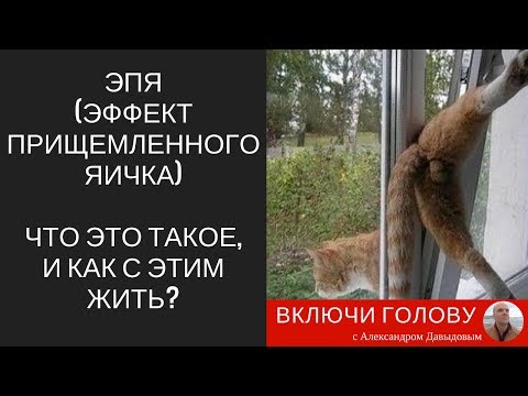 Видео: ЭПЯ (Эффект Прищемленного Яичка). Что это такое, и как с этим жить?