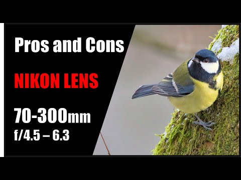 Видео: Обзор объектива Nikon 70-300mm с фотографиями. Самый дешевый объектив для фотографии птиц?