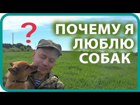 Видео: КУПИЛ ДОМ В ДЕРЕВНЕ / Я ЛЮБЛЮ СОБАК / ПАРНИК ПРОДОЛЖЕНИЕ