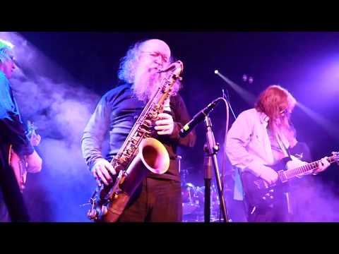 Видео: Полон дом говна