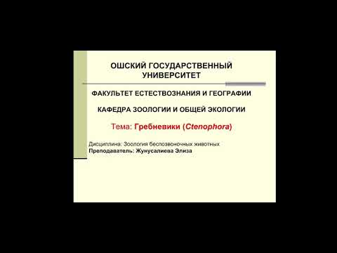 Видео: Тип Гребневики