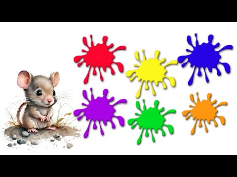 Видео: Учим цветовете с Фуфу