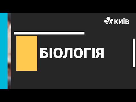 Видео: Біологія, 9 клас, Фотосинтез, 21.12.20 - #Відкритийурок