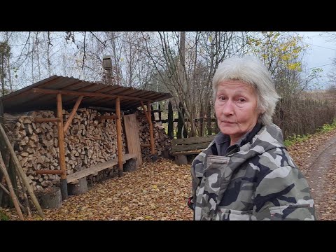 Видео: Про появление Избущки на Рутубе, утро с кистью и очередной проект