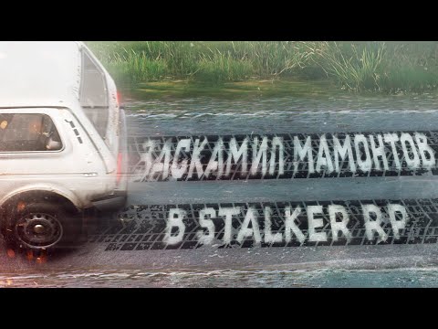 Видео: ЗАСКАМИЛ СЕРВЕР в DAYZ RP | STALKER RP
