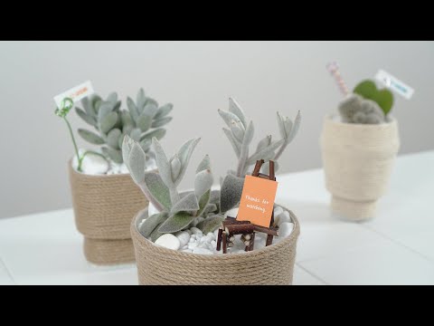 Видео: Изготовление цветочных горшков из джутовой нити, карточки для сообщений, сделай сам, суккуленты
