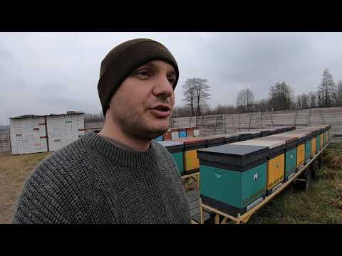 Видео: Один сезон позаду #причіпи_бджоловіз #платформи #кочівля #причіпи  для перевезення бджіл #МОя_ПАСІКА
