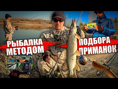 Видео: "ОСЕННИЙ ДЖИГ С БЕРЕГА / РЫБАЛКА В НОВОСИБИРСКЕ".