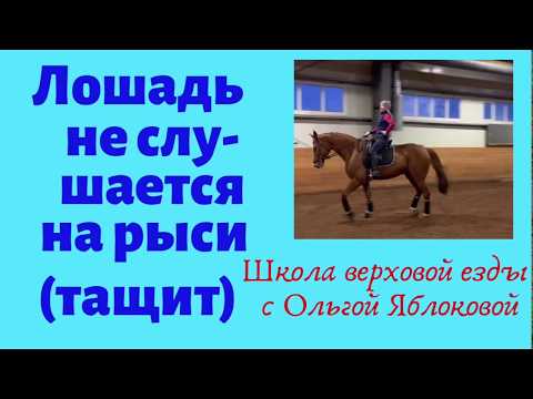Видео: ЛОШАДЬ НЕ СЛУШАЕТСЯ НА РЫСИ (ТАЩИТ)