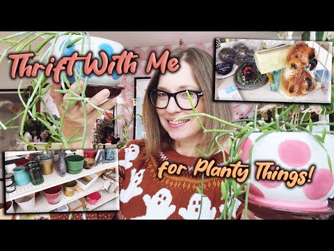 Видео: Экономьте со мной ради растений | Цветочные горшки/кашпо и предметы домашнего декора!!! Плюс немн...