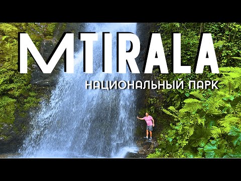 Видео: Трудная тропа,  купание в горном озере и ВОДОПАД: чудеса дикой природы Грузии, которые не забудешь!