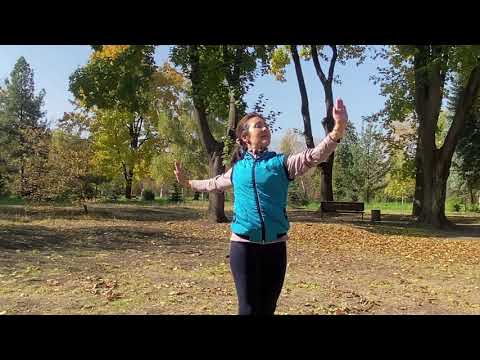 Видео: Язык танца  Урок 5  Казахский танец  Комбинация 2