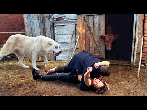 Видео: Девушка сбежала от жестокого жениха в глухую деревню, но вскоре он её нашел и решил сделать это