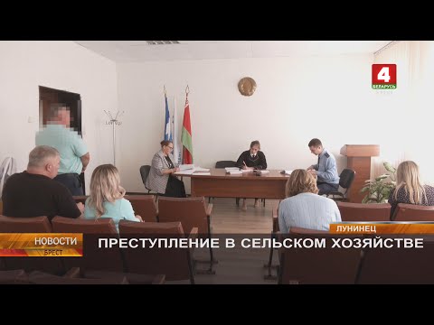 Видео: ПРЕСТУПЛЕНИЕ В СЕЛЬСКОМ ХОЗЯЙСТВЕ