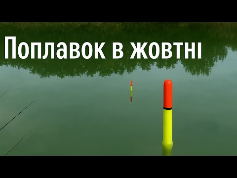 Видео: Залікова риболовля на тісто Херабуна.Поплавок в жовтні . #дозариболовлі #риболовля #поплавок 