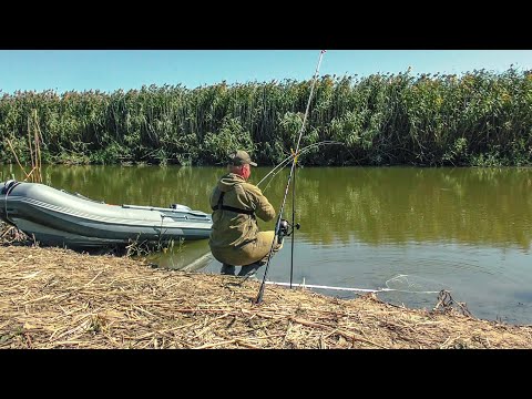 Видео: ДА СКОЛЬКО ЖЕ ЕГО ЗДЕСЬ!!!?😱 ПРИШЛА ОНА И....! Рыбалка на донки осенью.