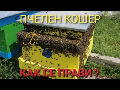 Видео: ПЧЕЛЕН КОШЕР