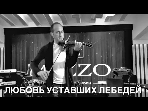 Видео: Любовь уставших лебедей - Davit Matevosyan ( Димаш, Игорь Крутой, Lara Fabian )