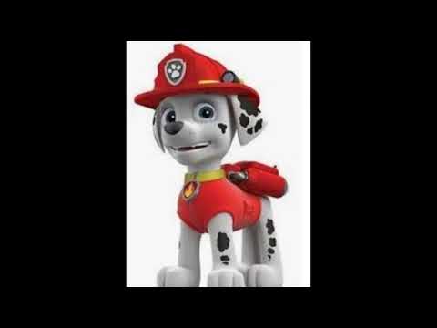 Видео: Маршал и Рози