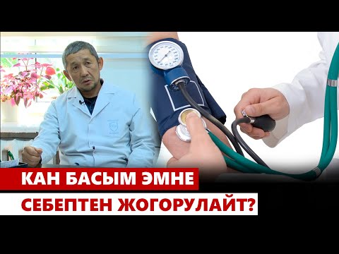 Видео: Кан басым эмне себептен жогорулайт?