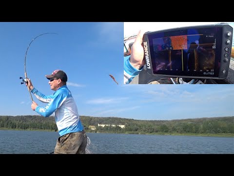 Видео: Поиск РЫБЫ по ЭХОЛОТУ  Lowrance Elite FS 9. Работа с эхолотом.